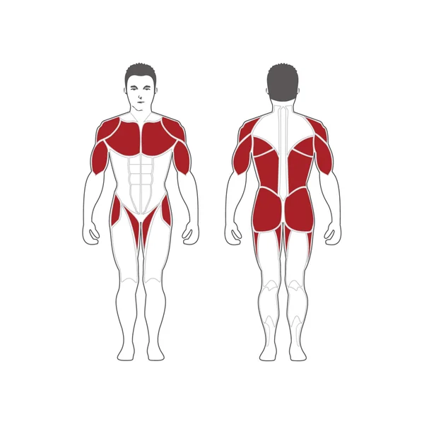 Steelflex HDC-2000 Functional Trainer