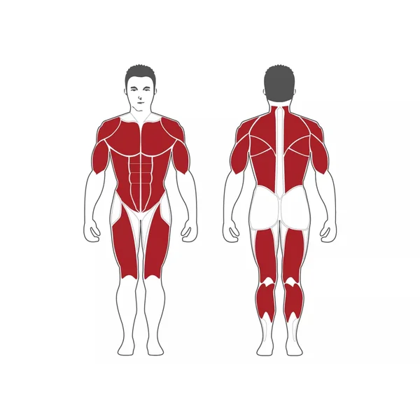 Steelflex MG100B Multi-Gym
