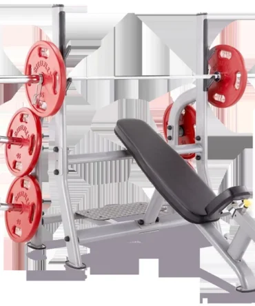 Steelflex Olympic Incline Bench (NOIB)