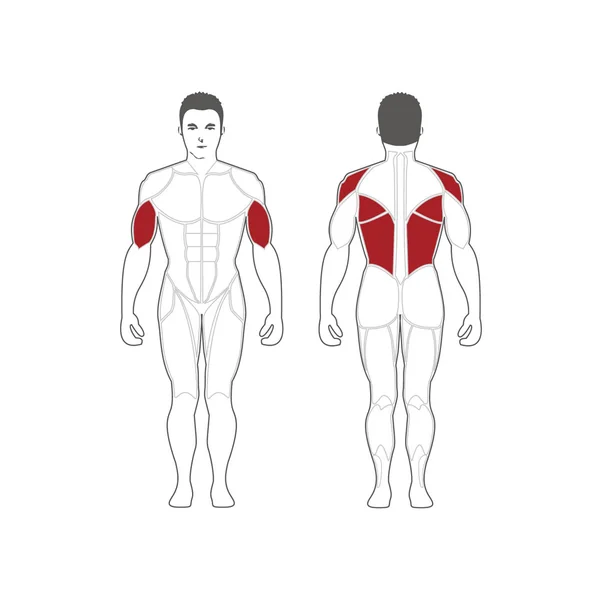 Steelflex Seated Row Machine (PLSR)