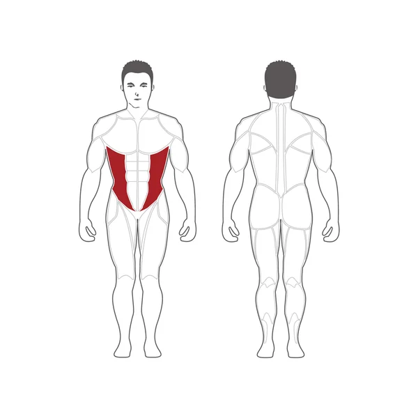 Steelflex Side Bending Machine (CEO200)