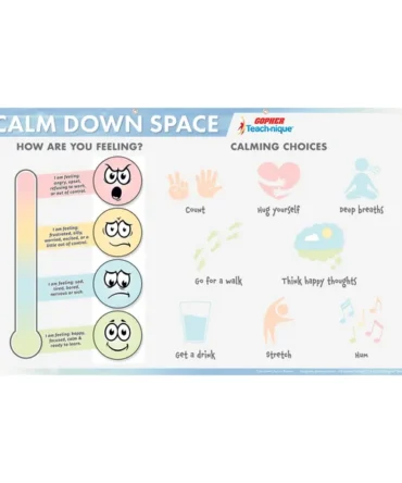 Teach-nique Calm Down Banner