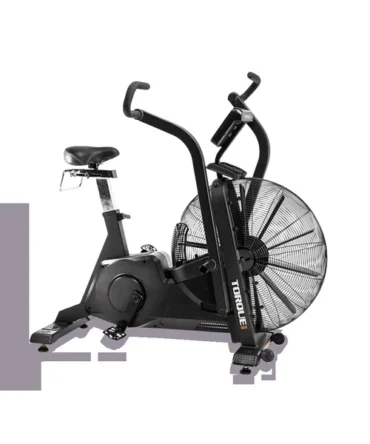 Torque Stealth Air Bike