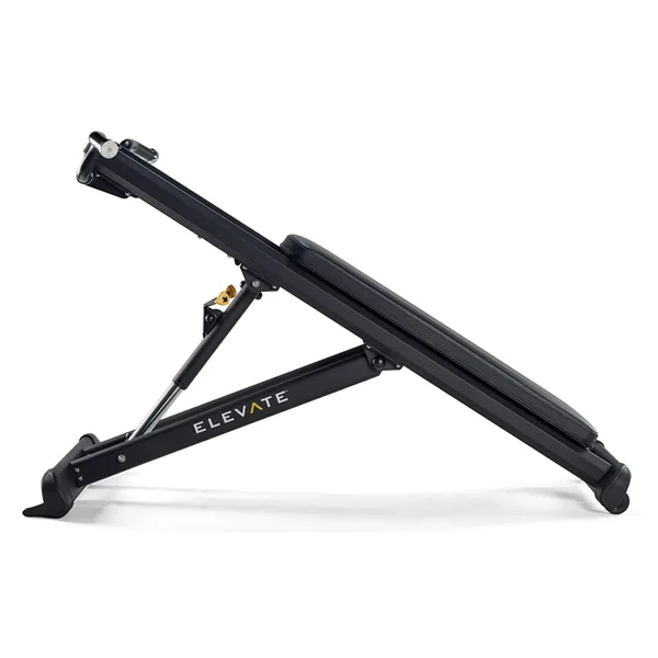 Total Gym ELEVATE Pull Up Trainer