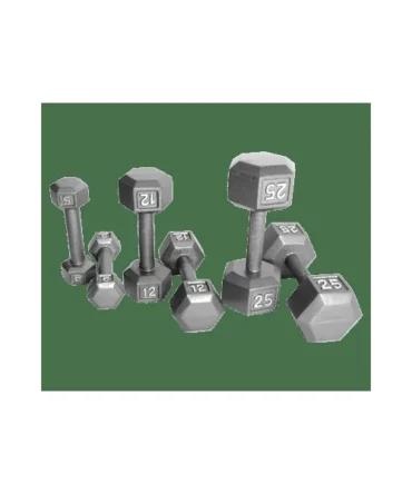 Troy Barbell Gray Hex Steel Dumbbells