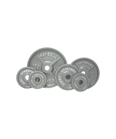 Troy Barbell Olympic (2″) Gray Steel Plates