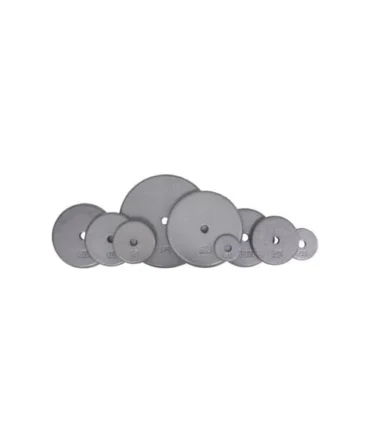 Troy Barbell Standard (1″) Gray Steel Plates