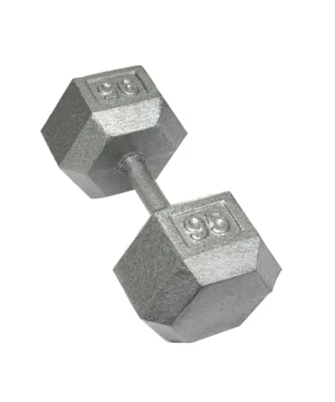 Troy Cast Iron Dumbbells