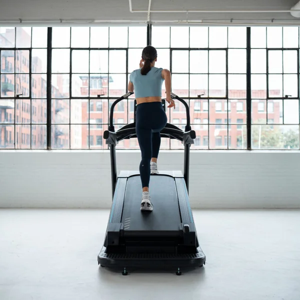 True Fitness Alpine Runner Treadmill w/Unite LED Console