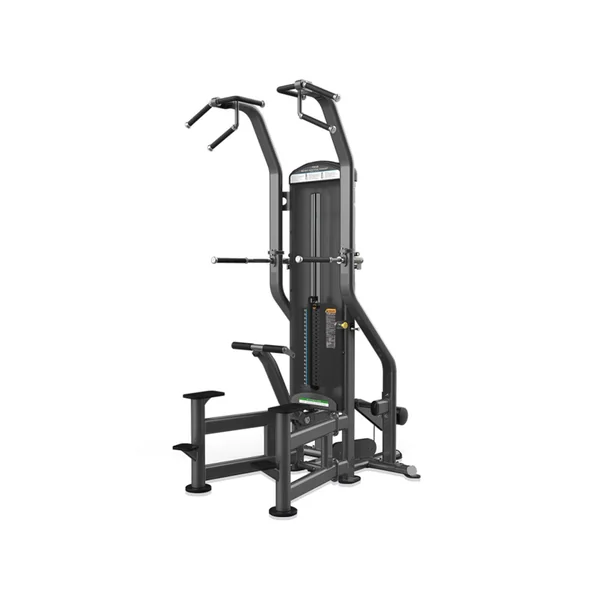 True Fitness FUSE-4000 Weight Assisted Chin / Dip