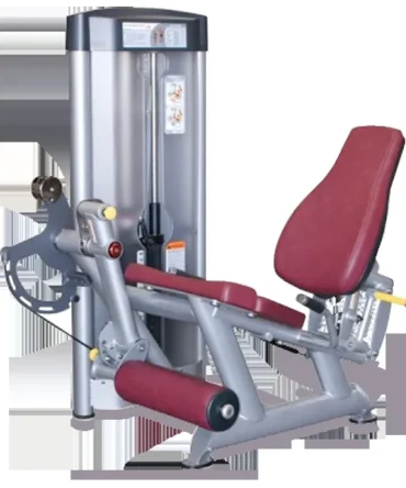 True Fitness Leg Extension SP-5000