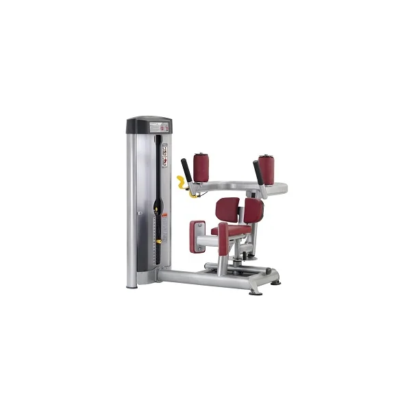 True Fitness Rotary Torso SP-6400