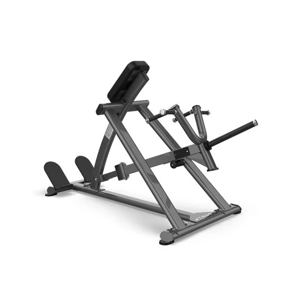 TRUE Fitness XFW-5500 Lever Row