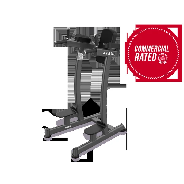 TRUE Fitness XFW-6400 Vertical Knee Raise Dip