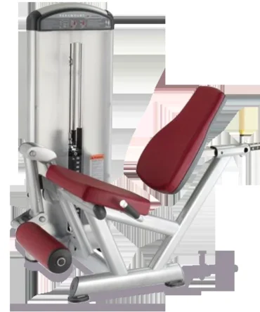 True Fitness XL2-0100 Leg Extension