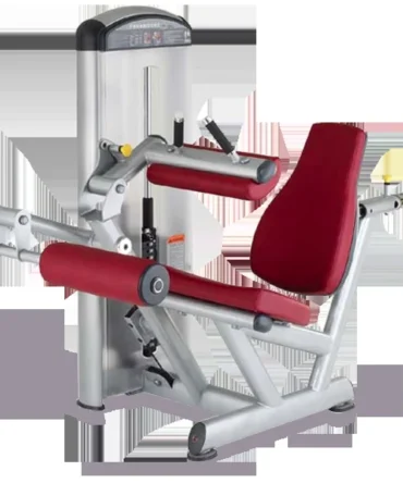 True Fitness XL2-0200 Seated Leg Curl