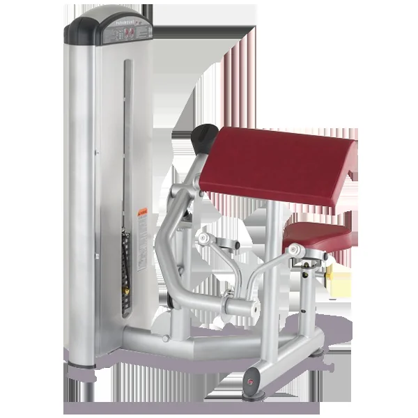 True Fitness XL2-0600 Biceps Curl