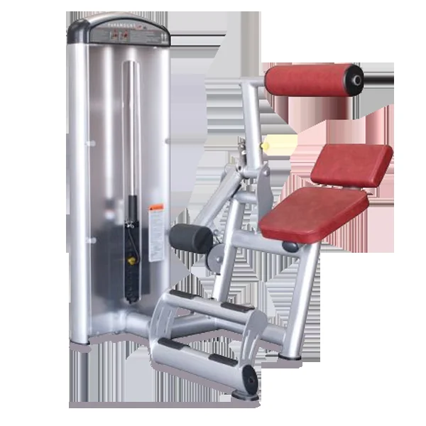 True Fitness XL2-1300 Low Back