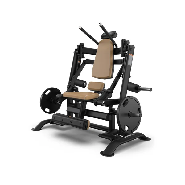 True Palladium PLS-0500 Knee Raise / Ab Crunch