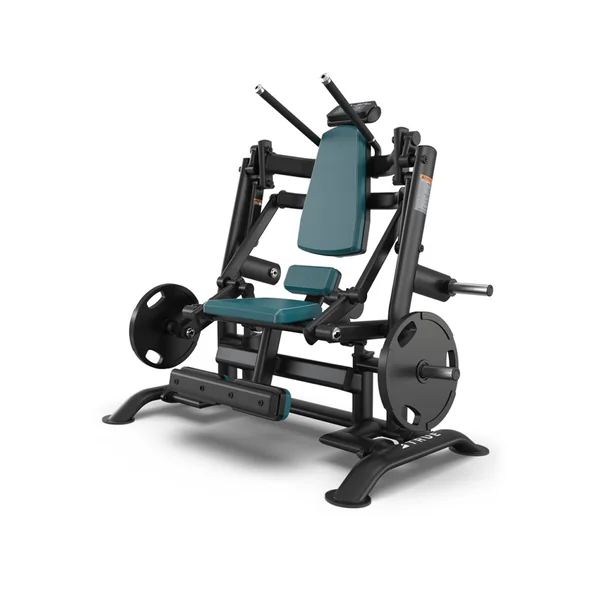 True Palladium PLS-0500 Knee Raise / Ab Crunch