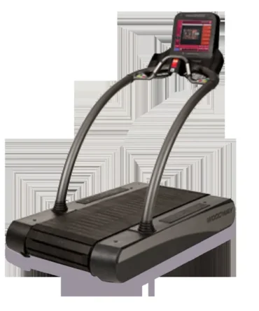 Woodway Desmo Elite Treadmill