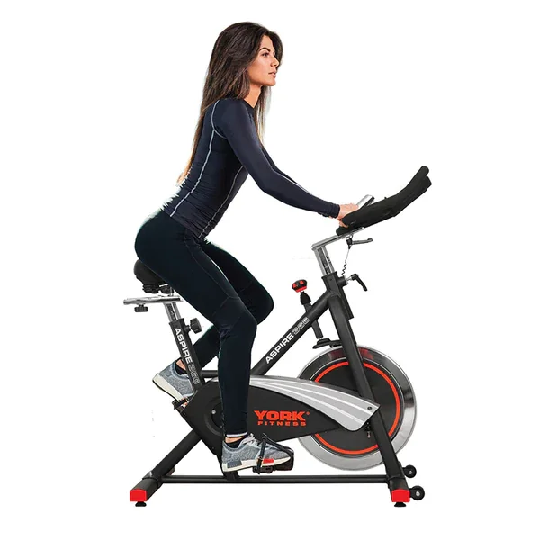 YORK Aspire 366 Stationary Bike Flywheel
